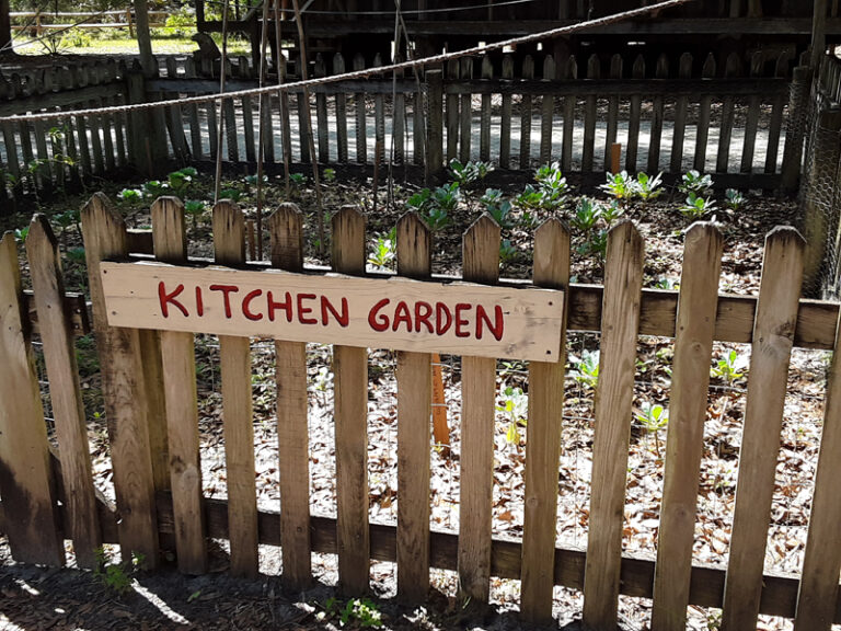 Garden at Cracker Village Silver Springs State Park