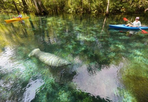 Silver Springs Paddling